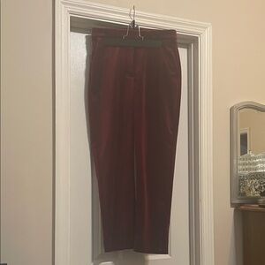 Express Deep Red Velvet Pants